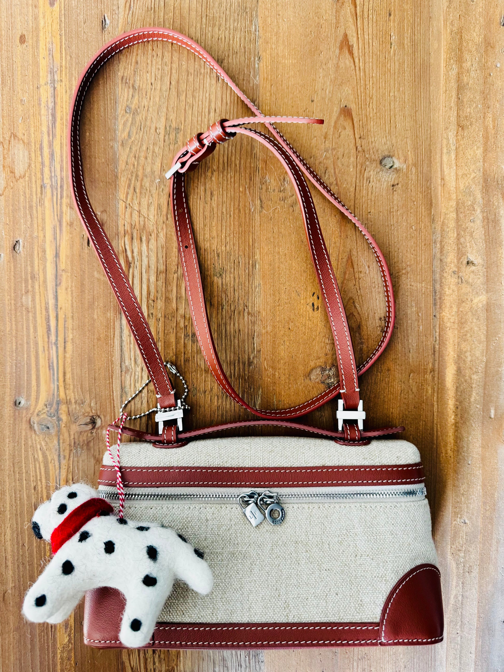 Handmade Needle Felt Hanging Dalmatian with bag